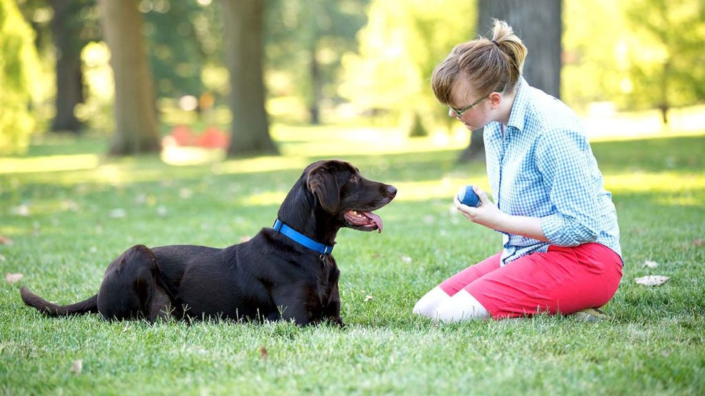 Köpek eğitimine başlamadan önce temel itaat, tuvalet, ödüllendirme ve sabır konuları hakkında bilgi alın. Profesyonel eğitim seçenekleriyle köpeğinizi en iyi şekilde eğitin.