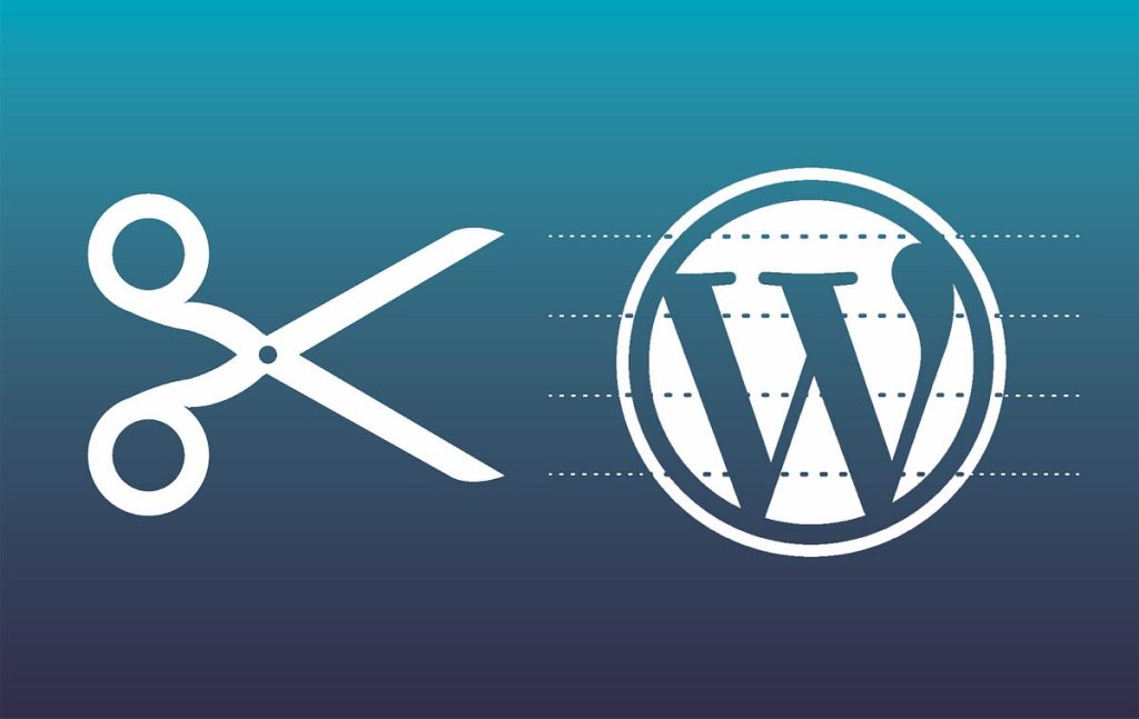 wordpress hataları